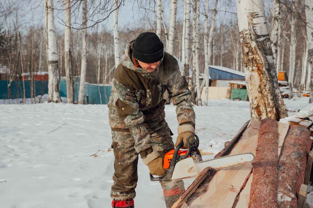 Best Tree Cutting Near Me  in Tulia, TX